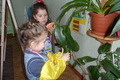  Група № 9 Вихователь Паученко Н. І. , показала як діти охоче включаються в трудову діяльність, мають певні навчики по догляду за рослинами.